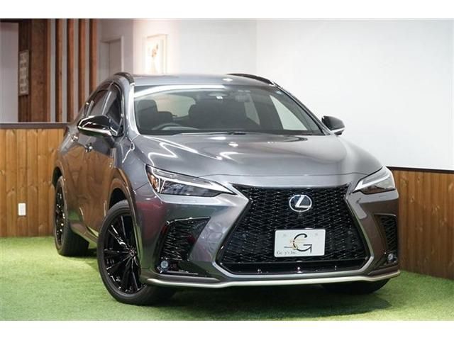 TOYOTA LEXUS NX450h+ AWD 2022