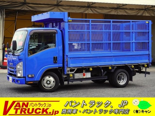 ISUZU ELF 2019