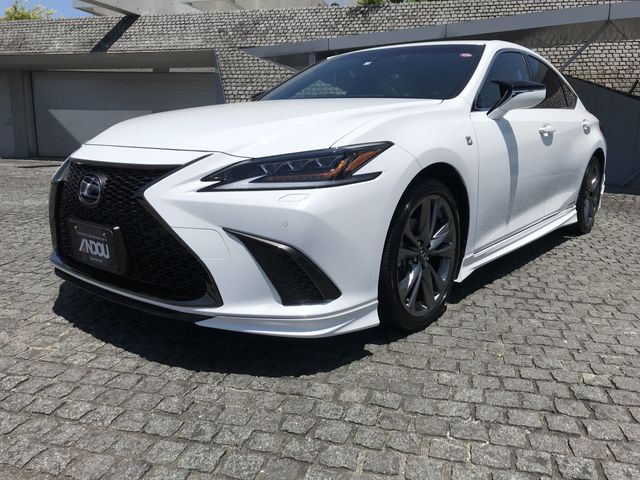 TOYOTA LEXUS ES300h 2019