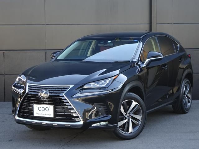 TOYOTA LEXUS NX300 2018