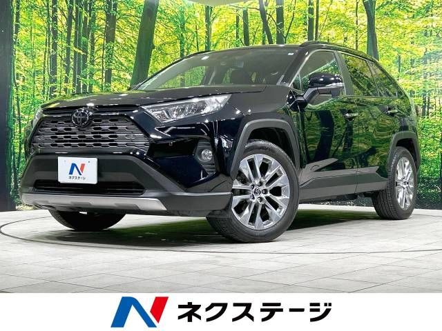 TOYOTA RAV4 4WD 2019