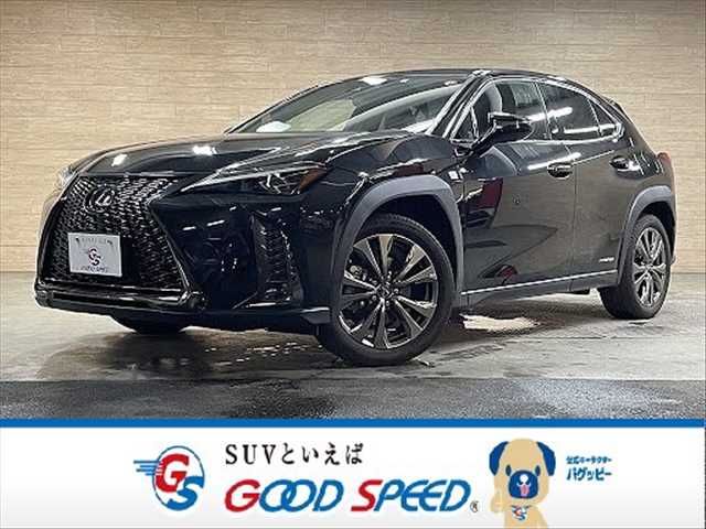 TOYOTA LEXUS UX250h 2019