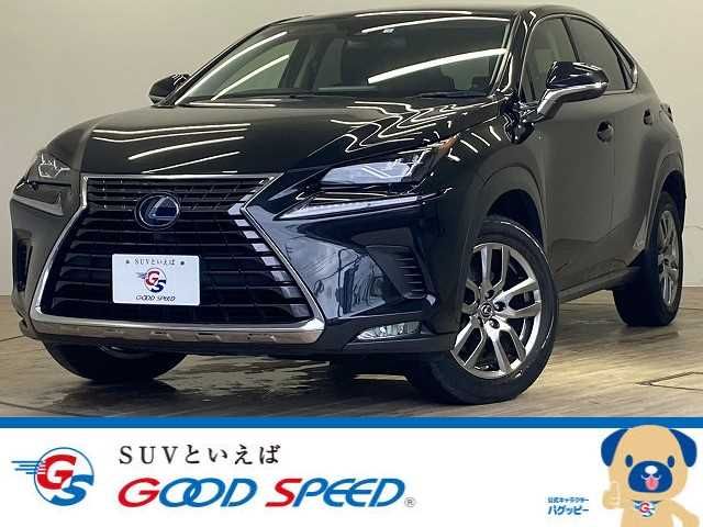 TOYOTA LEXUS NX300h 2020