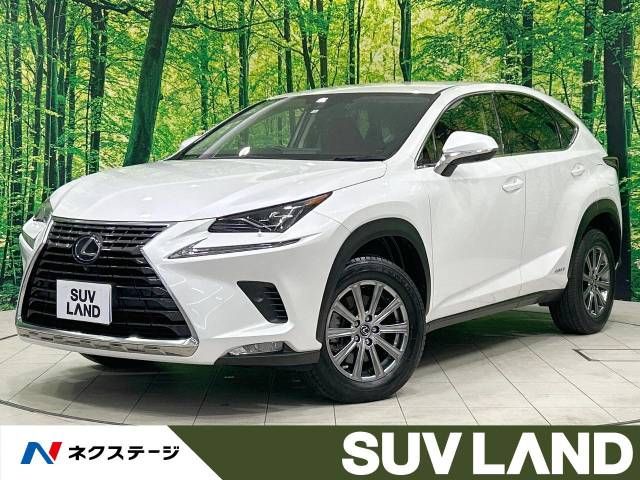 TOYOTA LEXUS NX300h 2020