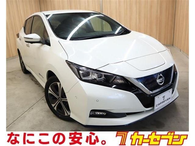 NISSAN LEAF 2019