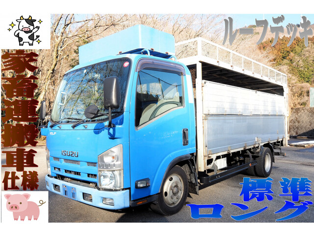 Isuzu ELF 2012