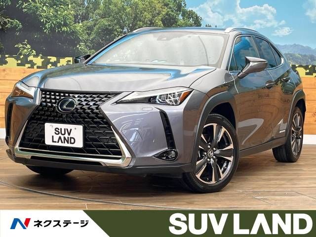 TOYOTA LEXUS UX250h AWD 2019