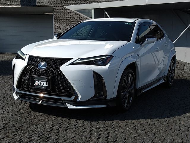 TOYOTA LEXUS UX250h 2019