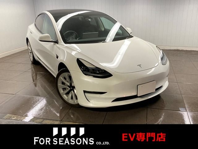 TESLA MODEL 3 2022