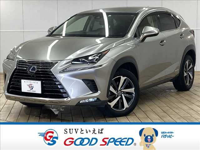 TOYOTA LEXUS NX300h 2018