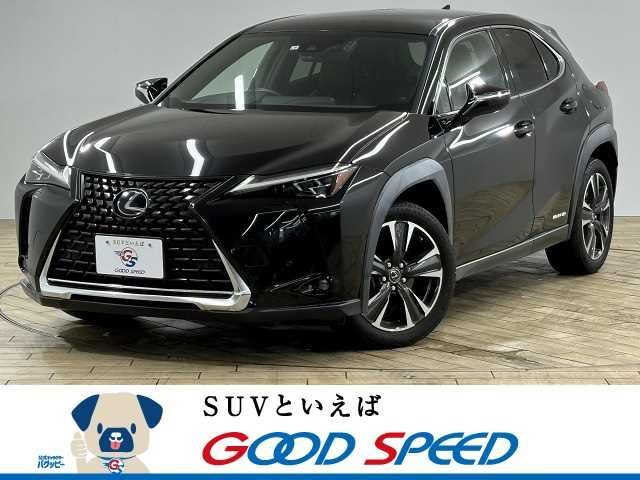 TOYOTA LEXUS UX250h 2019