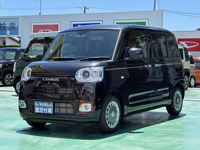 DAIHATSU MOVE canbus 2022