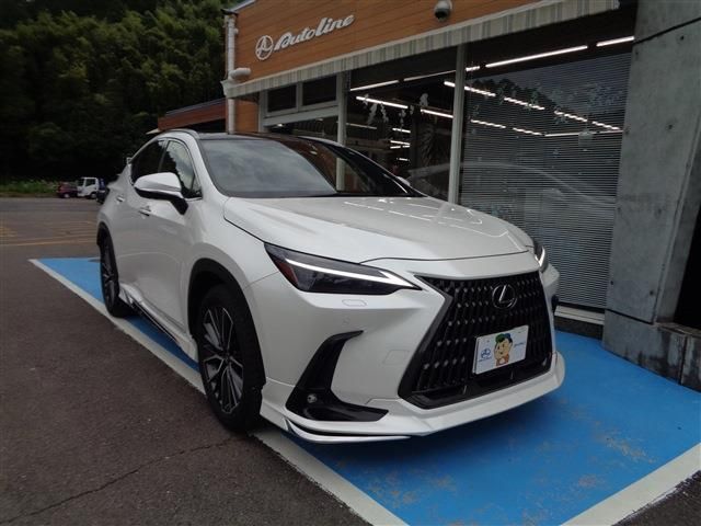 TOYOTA LEXUS NX250 2023