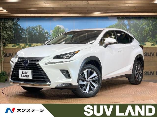 TOYOTA LEXUS NX300h 2018