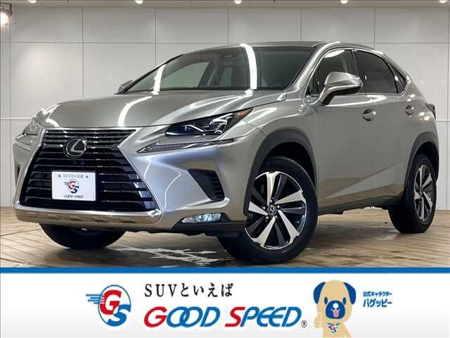 TOYOTA LEXUS NX300 2018