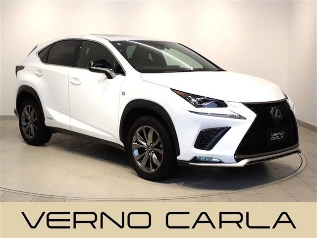 TOYOTA LEXUS NX300h 2020