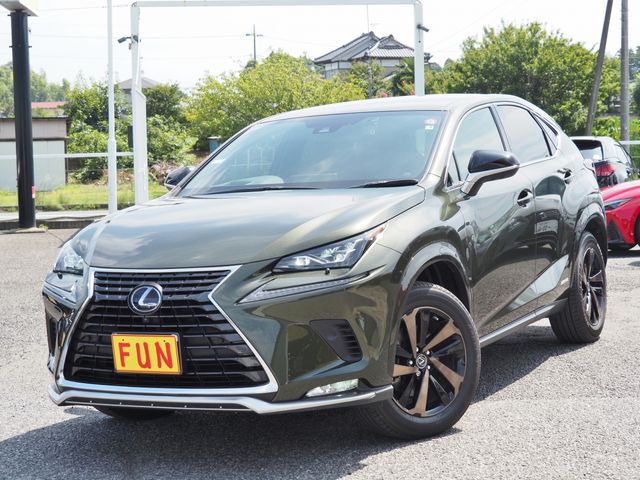 TOYOTA LEXUS NX300h AWD 2021