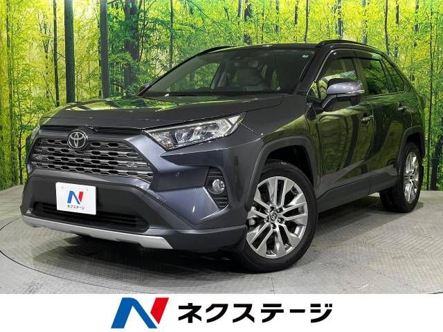 TOYOTA RAV4 4WD 2019