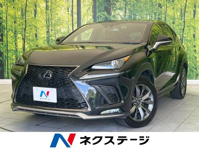 TOYOTA LEXUS NX300h 2020