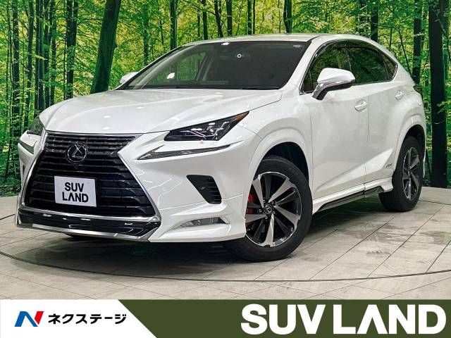 TOYOTA LEXUS NX300h 2020