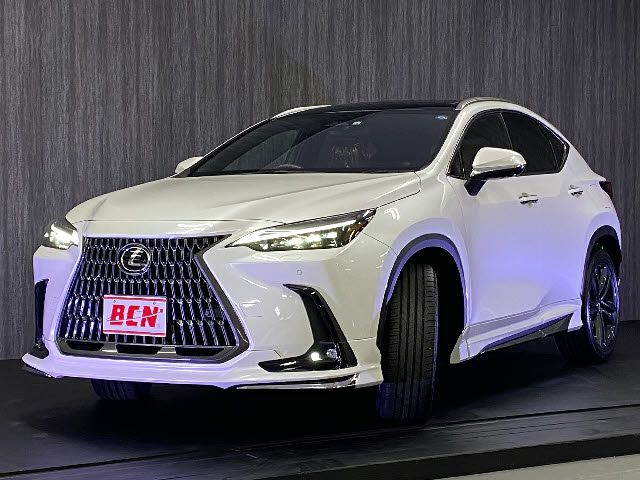 TOYOTA LEXUS NX250 2022