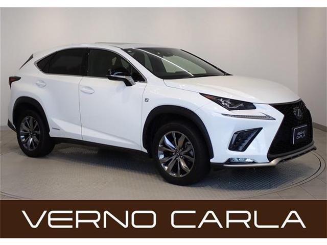 TOYOTA LEXUS NX300h 2021