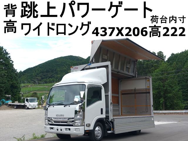 ISUZU ELF 2008