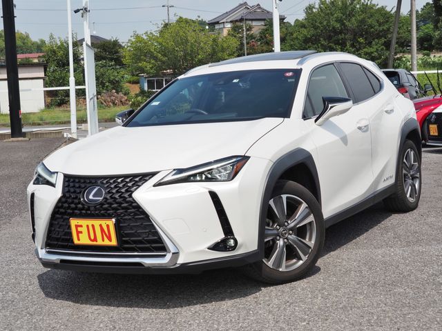 TOYOTA LEXUS UX300e 2021