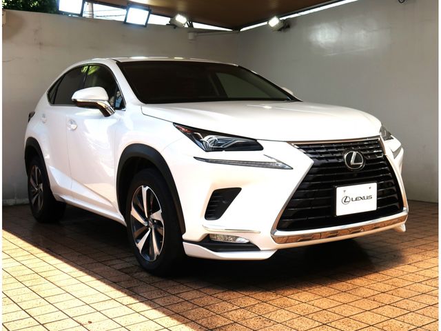 TOYOTA LEXUS NX300 2017