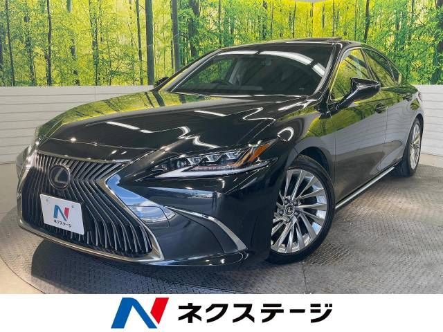 TOYOTA LEXUS ES300h 2020