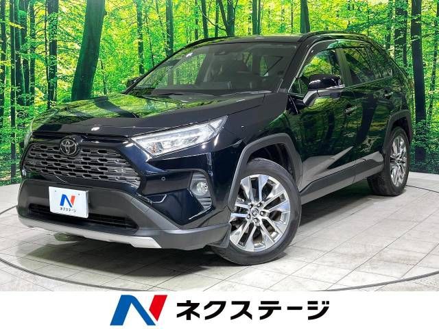 TOYOTA RAV4 4WD 2019