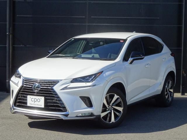 TOYOTA LEXUS NX300 2020