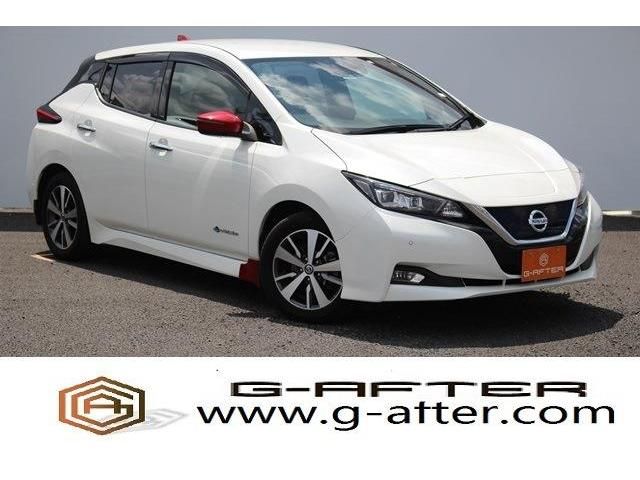 NISSAN LEAF 2020