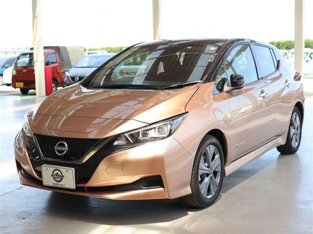 NISSAN LEAF 2021