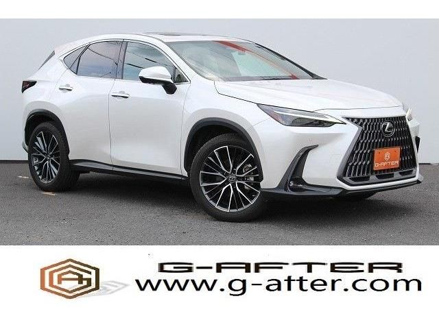 TOYOTA LEXUS NX250 2021