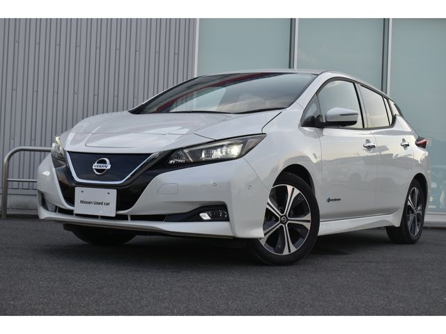 NISSAN LEAF 2019