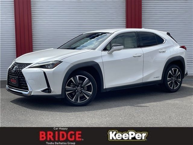 TOYOTA LEXUS UX250h AWD 2019