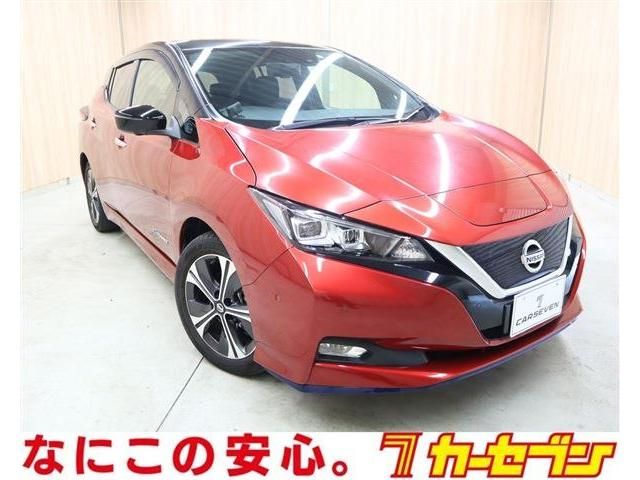 NISSAN LEAF 2019