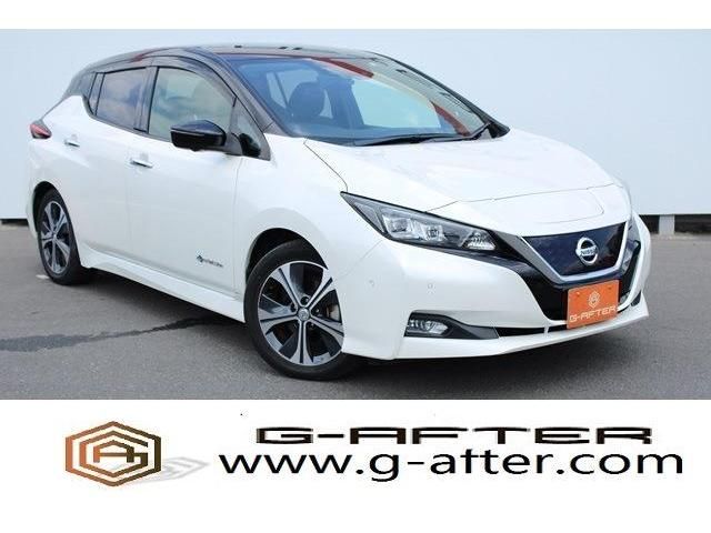 NISSAN LEAF 2018