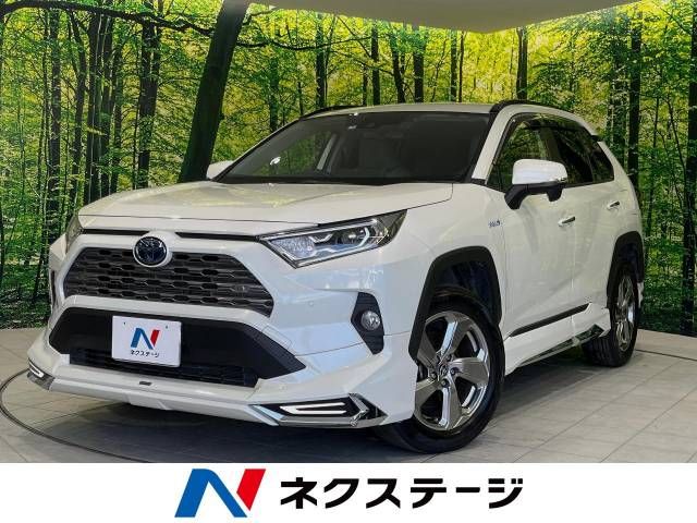 TOYOTA RAV4 HYBRID 4WD 2019