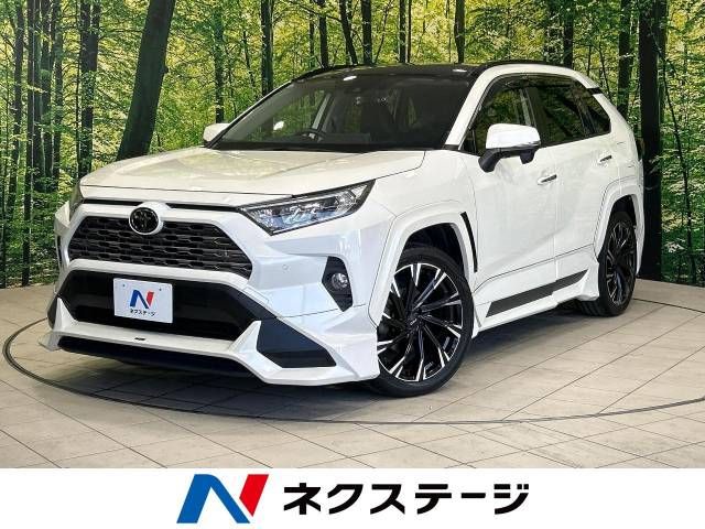 TOYOTA RAV4 4WD 2019