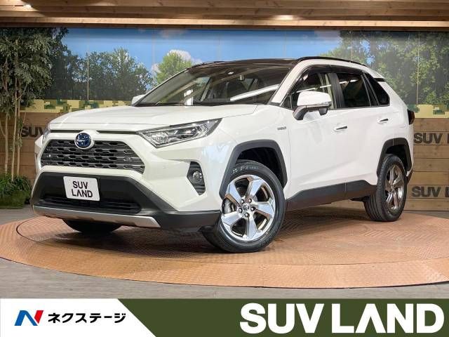 TOYOTA RAV4 HYBRID 4WD 2019