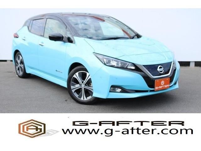 NISSAN LEAF 2018