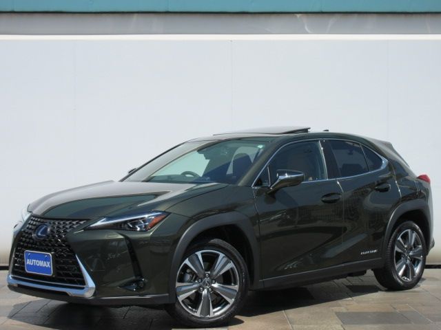 TOYOTA LEXUS UX300e 2021