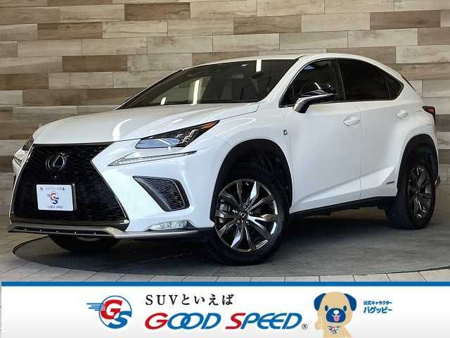 TOYOTA LEXUS NX300h 2019