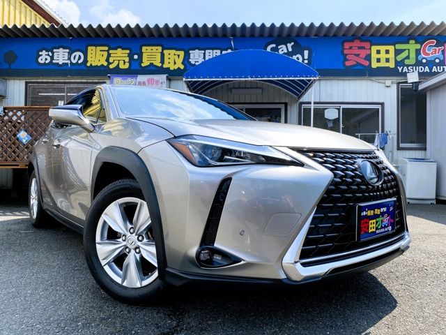 TOYOTA LEXUS UX200 2019