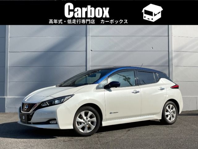 NISSAN LEAF 2019