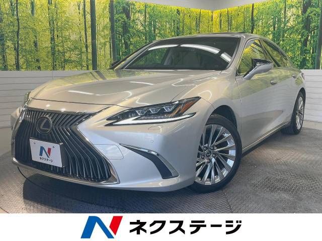 TOYOTA LEXUS ES300h 2021