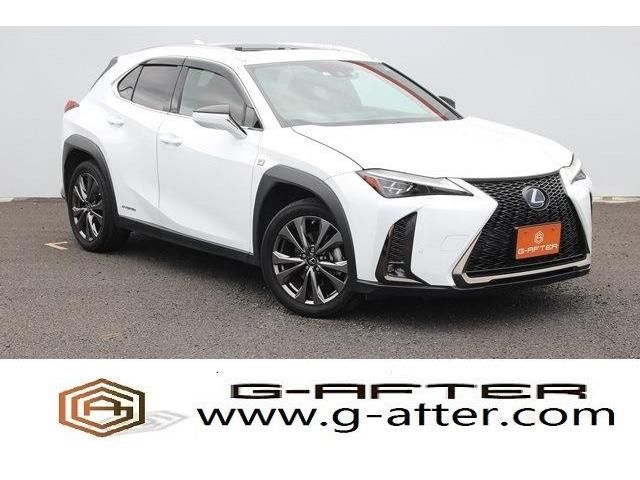 TOYOTA LEXUS UX250h 2019