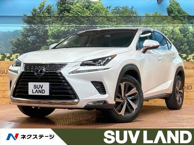 TOYOTA LEXUS NX300 2018